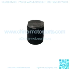 Honda Front Brake Caliper Piston ATC250R ATC350X TRX250R XL XR 45107-MG3-016