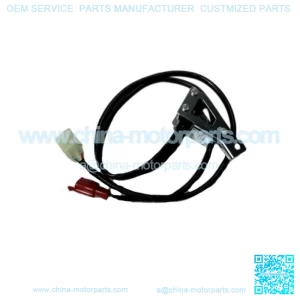Rear Brake Switch Set Goldwing GL1800 & F6B 06-17 OEM Honda