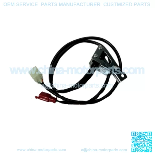 Rear Brake Switch Set Goldwing GL1800 & F6B 06-17 OEM Honda